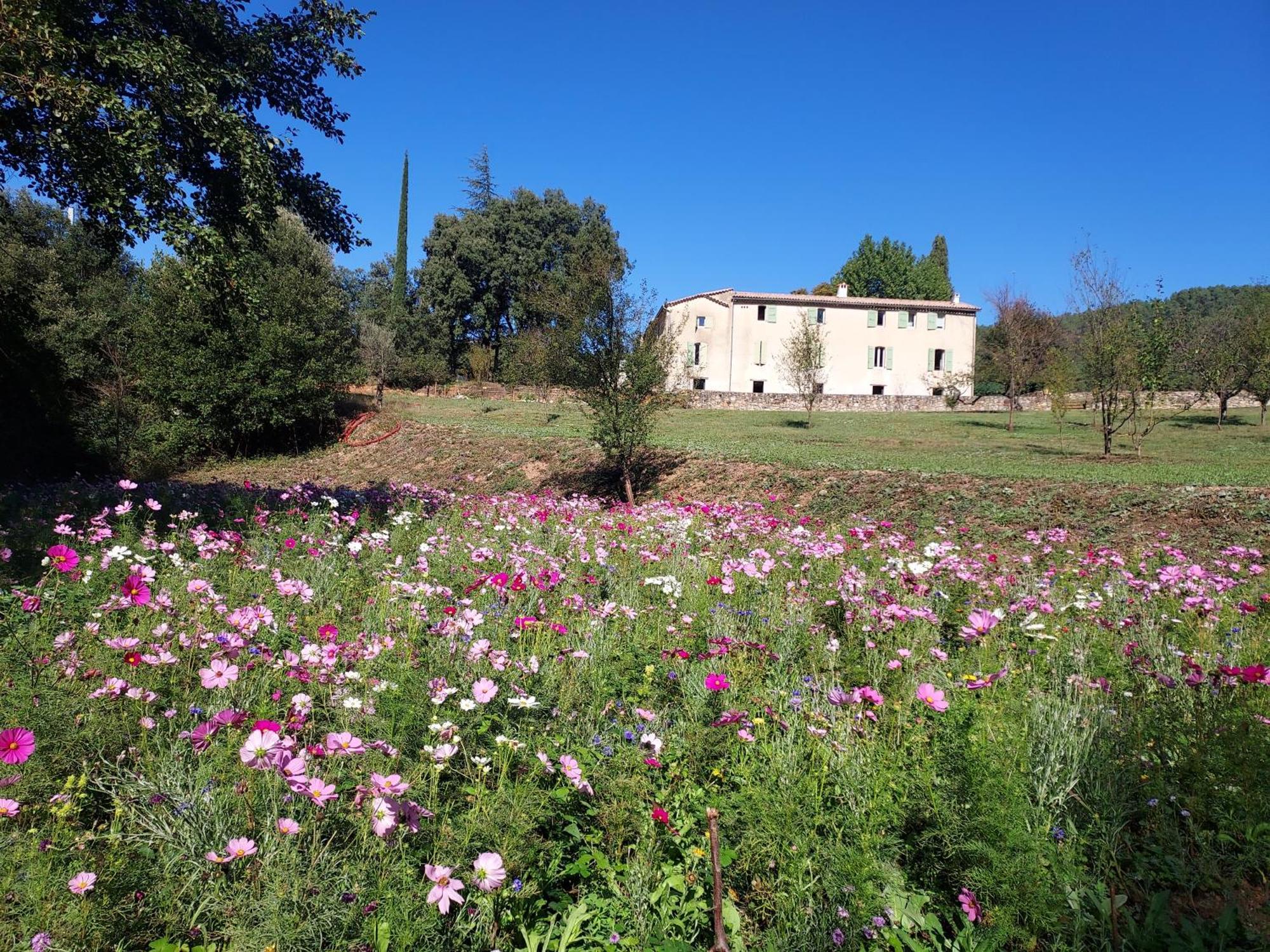 Les Jardins De Falguiere Saint-Jean-du-Gard Eksteriør bilde
